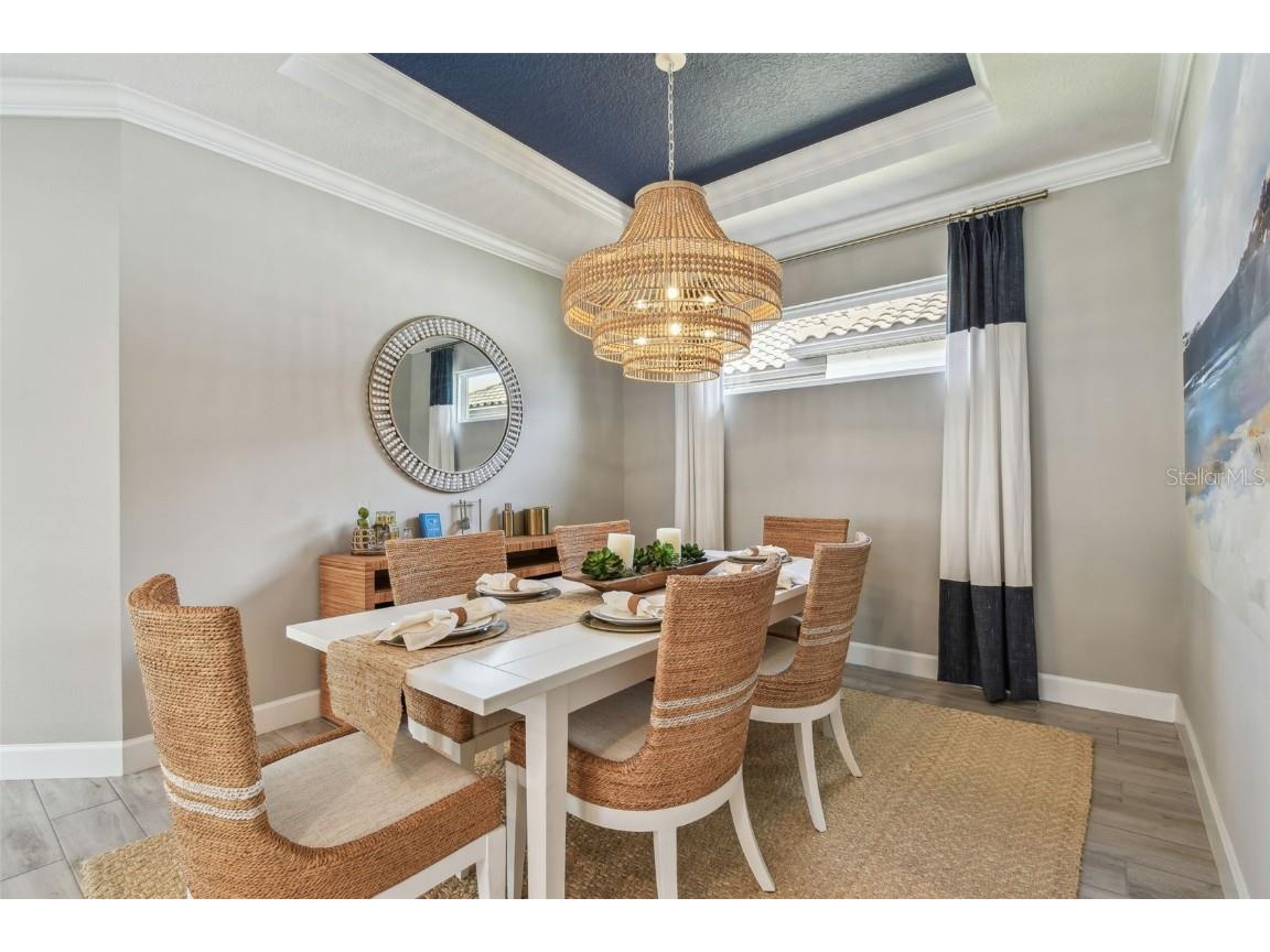 4257 Rosatti Road Wesley Chapel FL 33543 TB8373456 image34