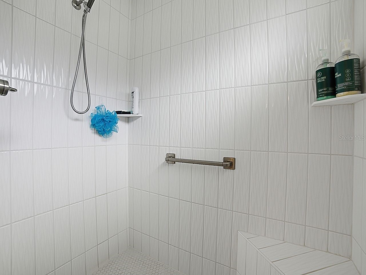 4258 Widmann Place The Villages FL 32163 G5112848 image26