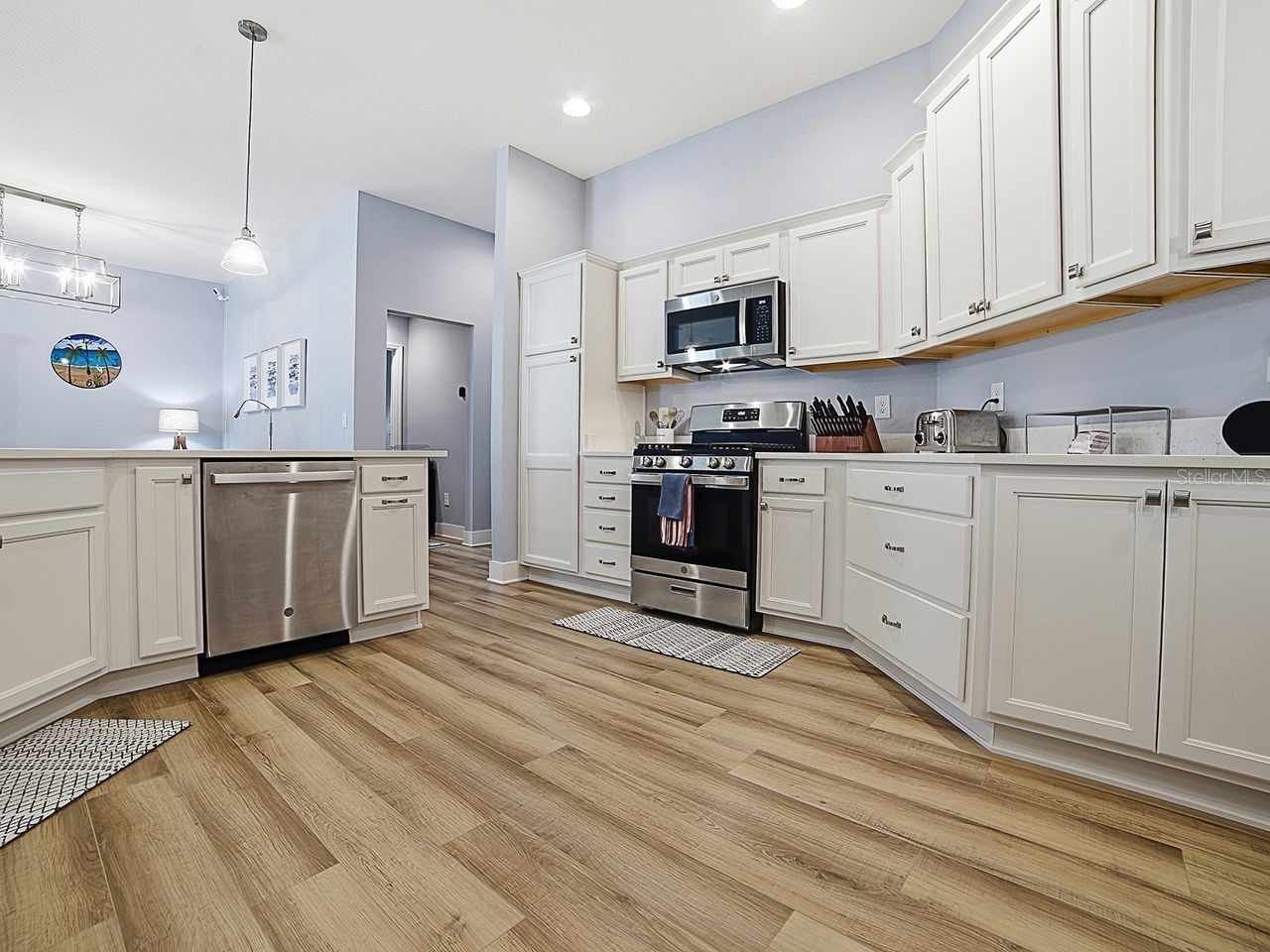 4258 Widmann Place The Villages FL 32163 G5112848 image6
