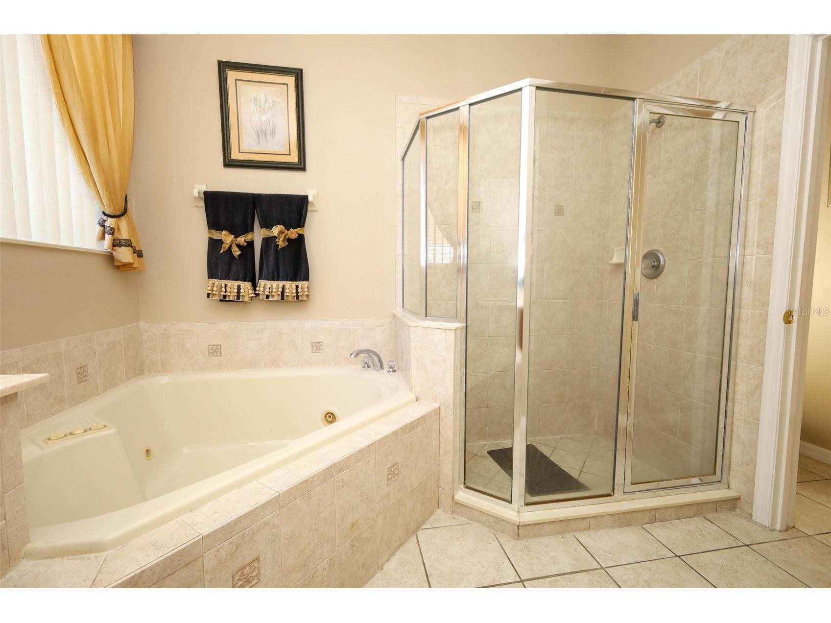 426 Alexandria Place Drive Apopka FL 32712 O6417209 image13