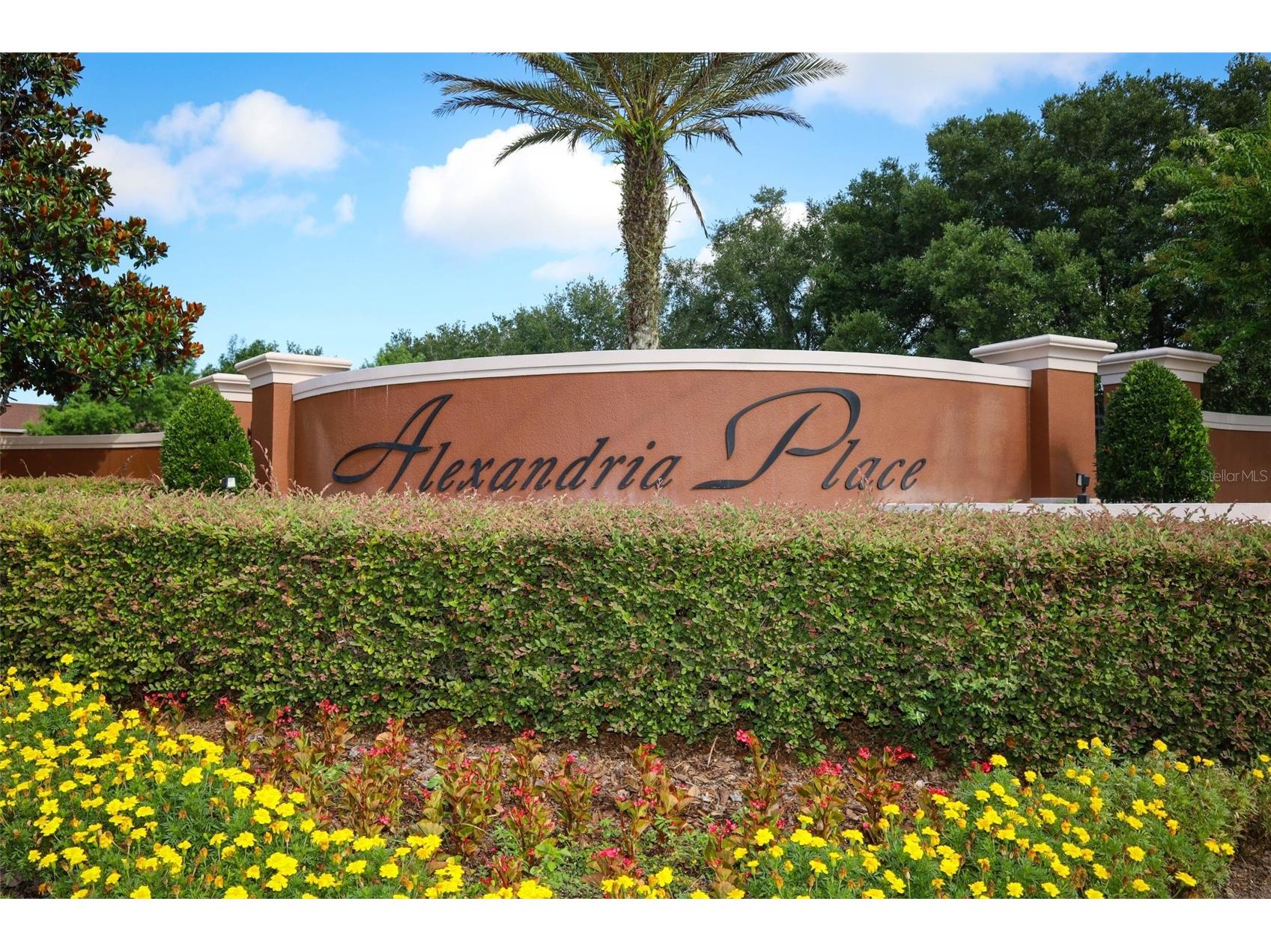 426 Alexandria Place Drive Apopka FL 32712 O6417209 image23