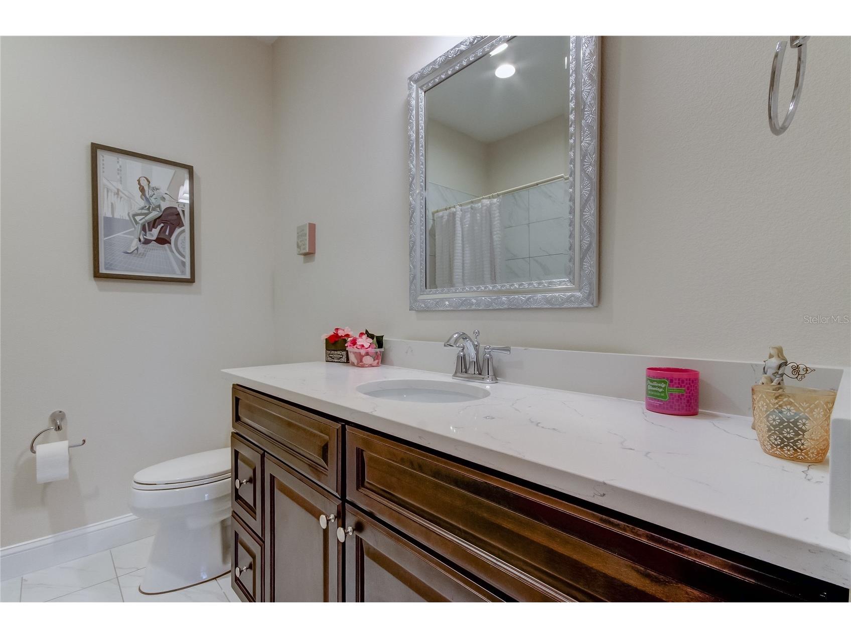 426 Birdsong Lane Dunedin FL 34698 TB8529668 image30
