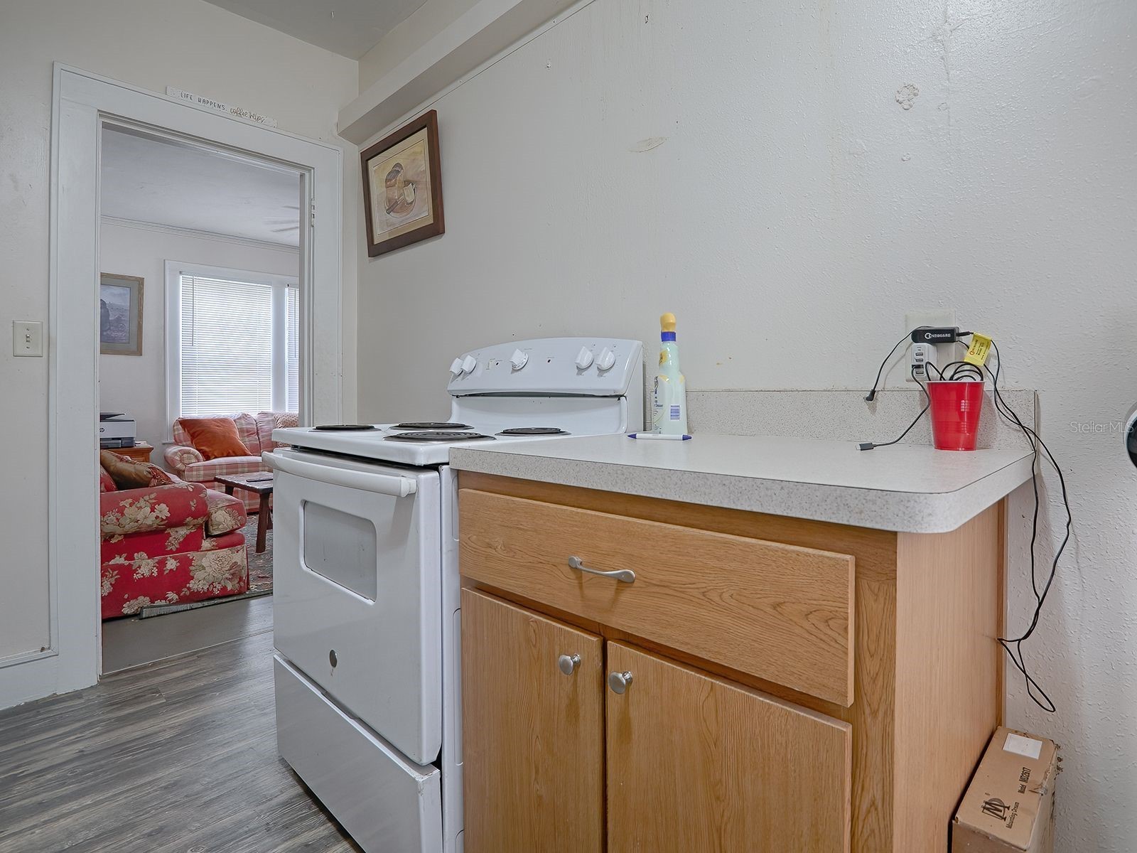 426 E Citrus Avenue Eustis FL 32726 G5107267 image12