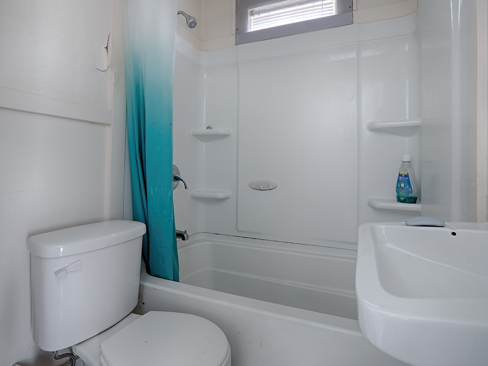 426 E Citrus Avenue Eustis FL 32726 G5107267 image16