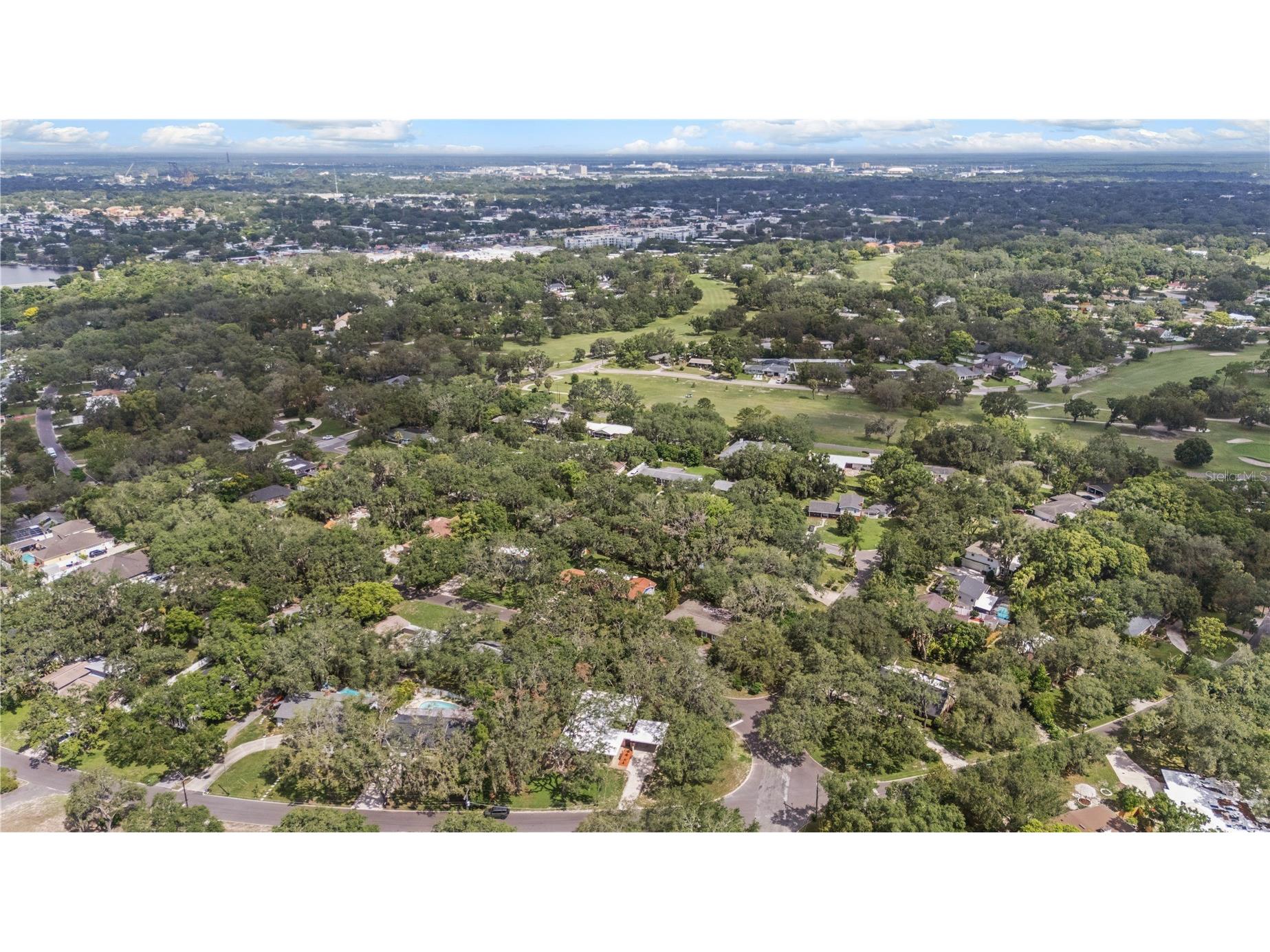426 Fern Cliff Avenue Tampa FL 33617 TB8521806 image59