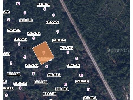 426 Madison Street Satsuma FL 32189 OM629908 image2