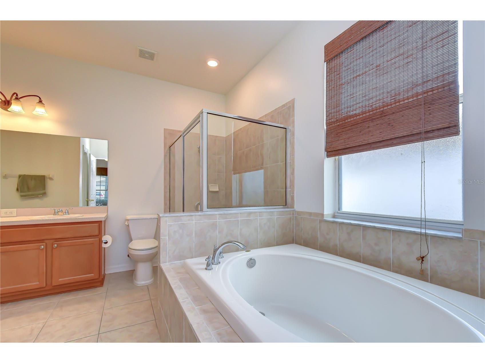 426 Summerlyn Drive Valrico FL 33594 TB8526517 image13