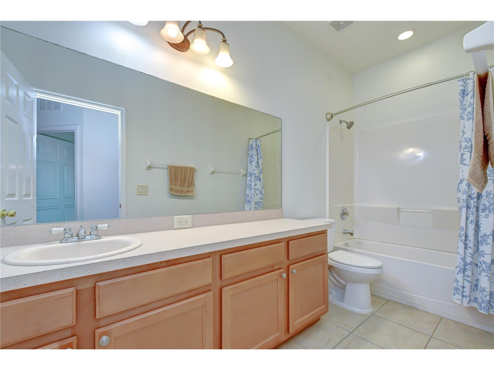 426 Summerlyn Drive Valrico FL 33594 TB8526517 image21