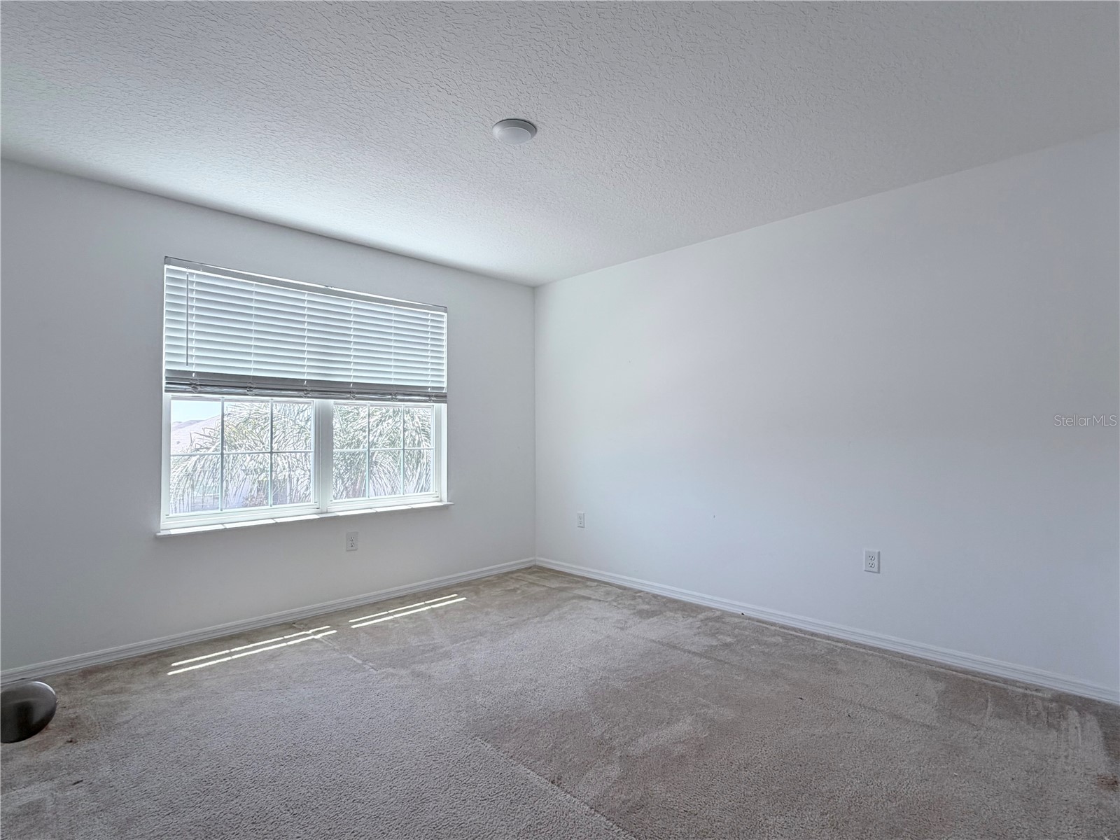 426 Taft Drive Davenport FL 33837 O6399645 image23