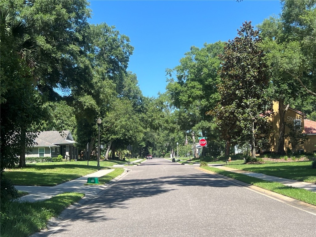 426 W Michigan Avenue Lake Helen FL 32744 V4936475 image3