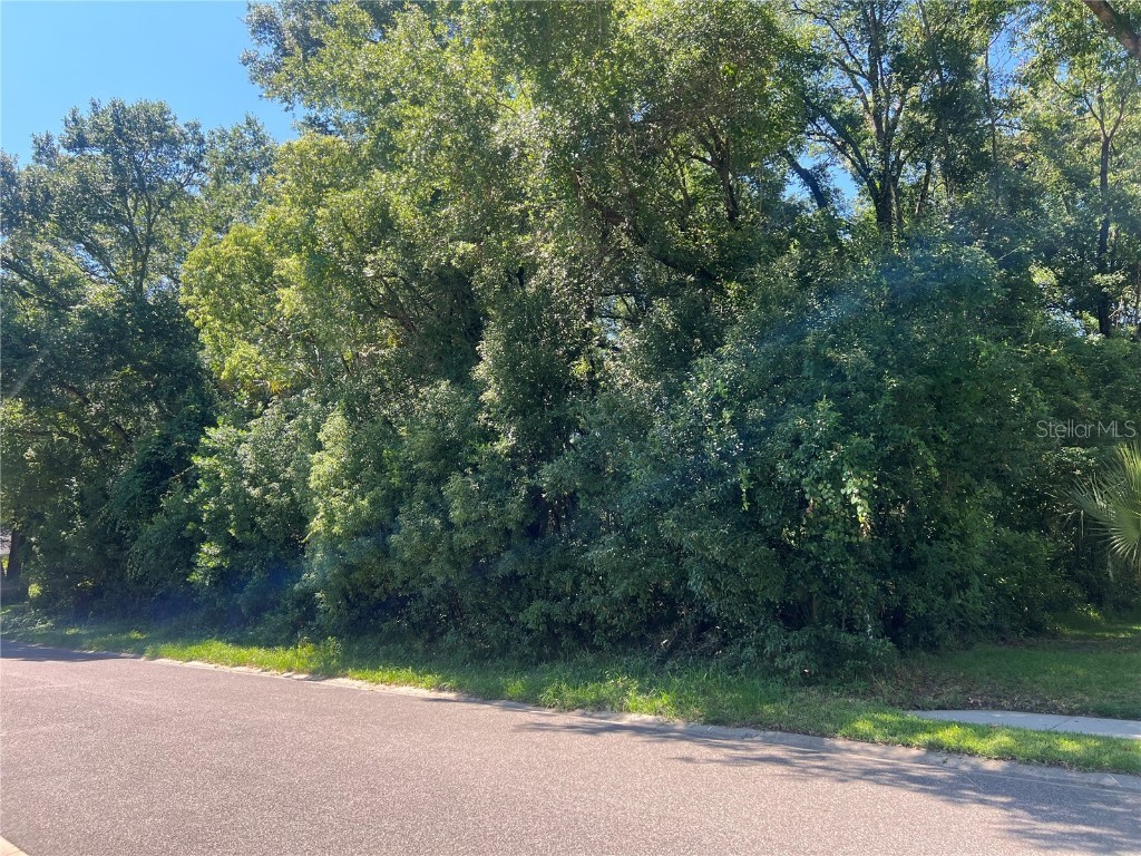 426 W Michigan Avenue Lake Helen FL 32744 V4936475 image6