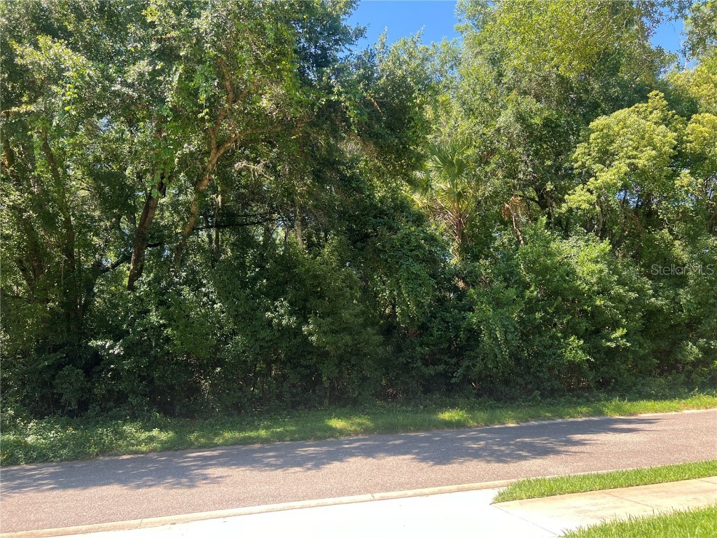 426 W Michigan Avenue Lake Helen FL 32744 V4936475 image7