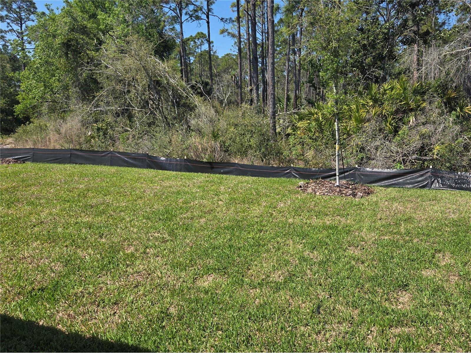 4260 Acoma Drive Ormond Beach FL 32174 O6367501 image5