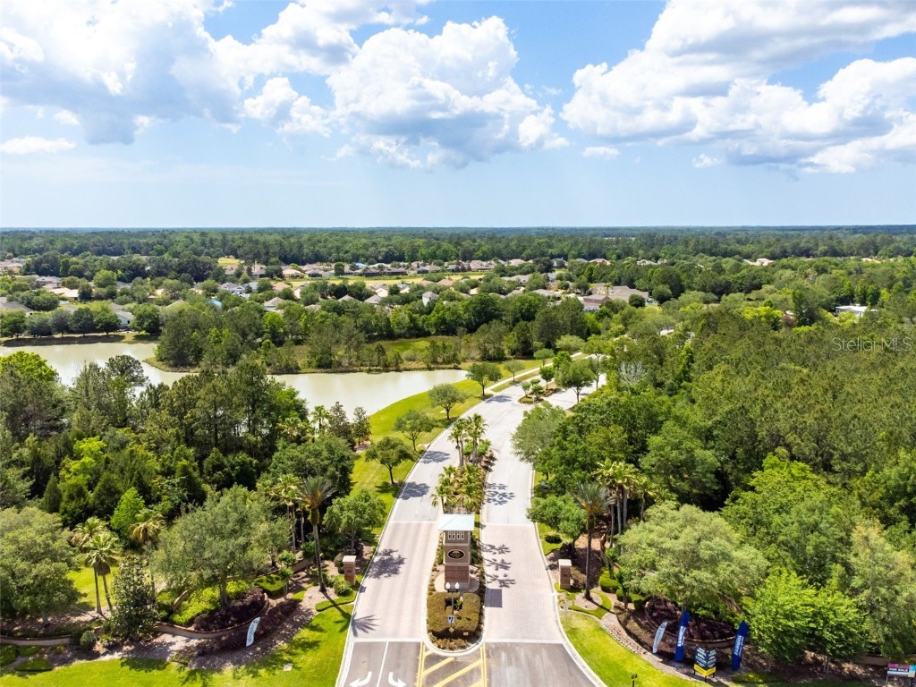 4260 Baudelaire Court Brooksville FL 34604 TB8382591 image21