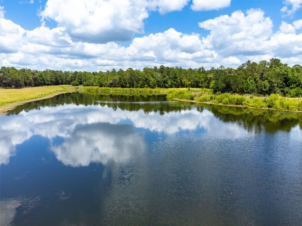 4260 Baudelaire Court Brooksville FL 34604 TB8382591 image25