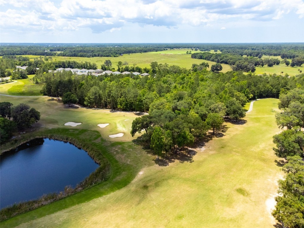 4260 Baudelaire Court Brooksville FL 34604 TB8382591 image26