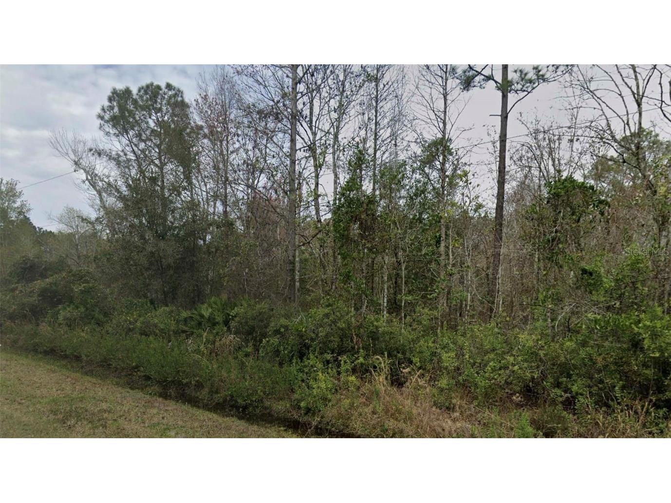 4260 Benedict Street Hastings FL 32145 O6349655 image1