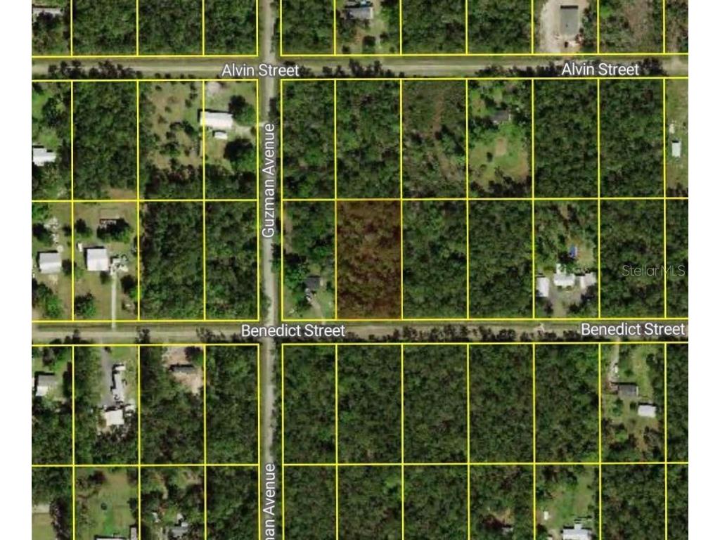 4260 Benedict Street Hastings FL 32145 O6349655 image2