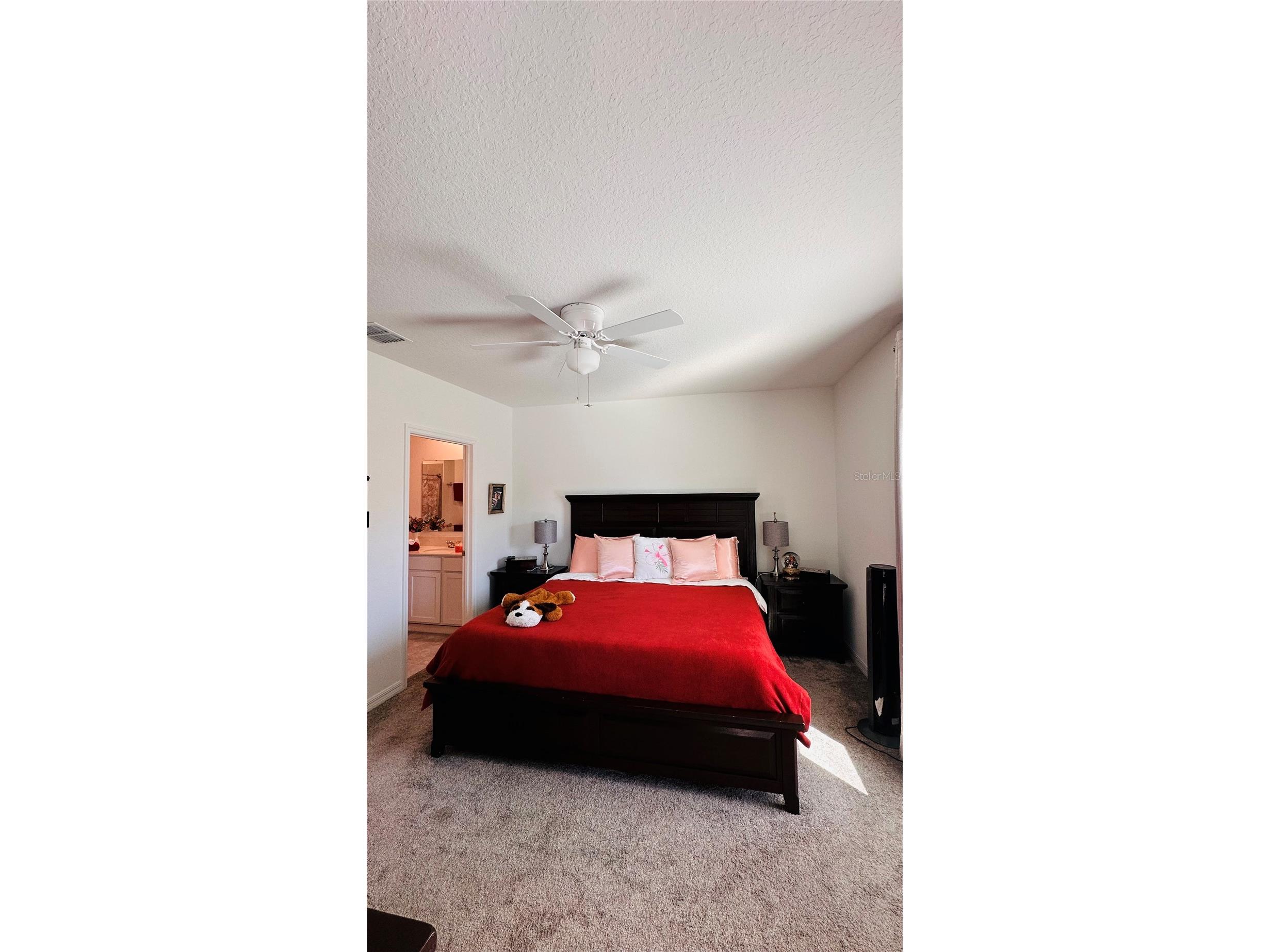 4260 Pebbles Throw Drive Kissimmee FL 34746 S5146695 image14