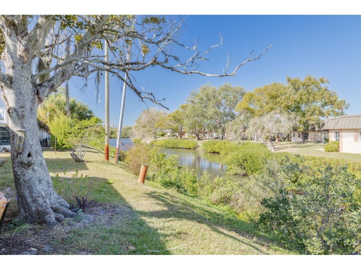 4261 Richmere Drive New Port Richey FL 34652 TB8458258 image32