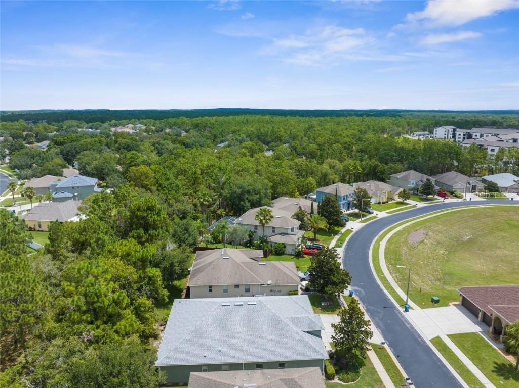 4264 Braemere Drive Spring Hill FL 34609 W7877190 image5