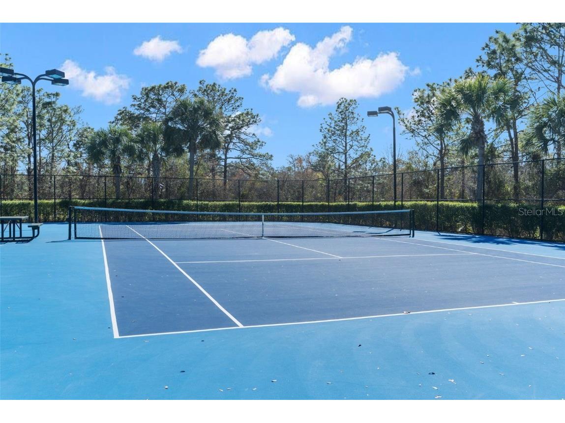 4264 Braemere Drive Spring Hill FL 34609 W7877190 image61