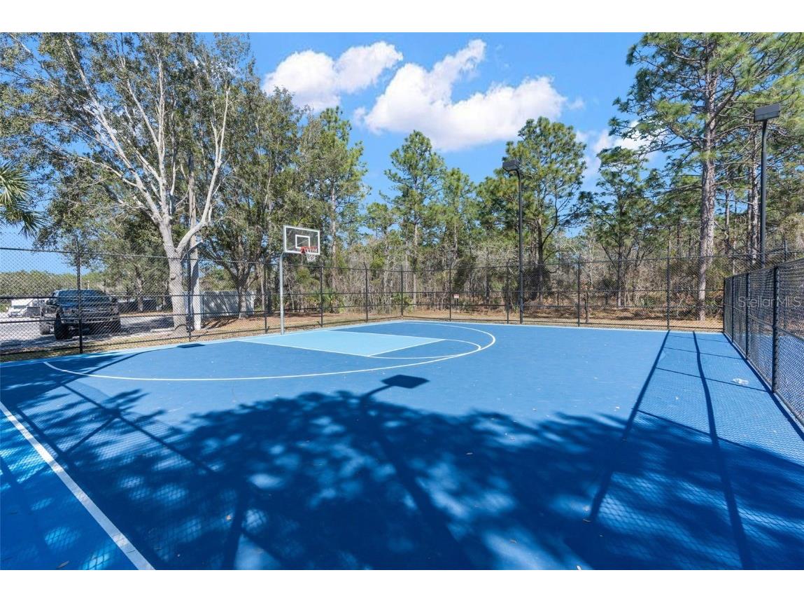 4264 Braemere Drive Spring Hill FL 34609 W7877190 image62