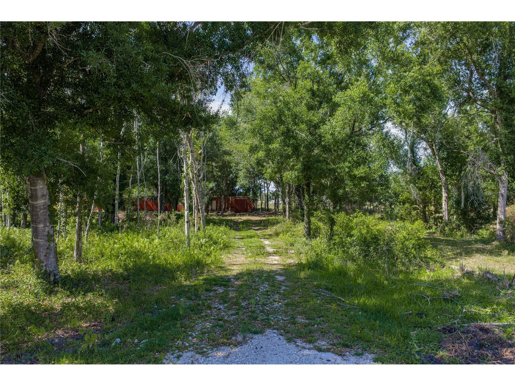 42655 State Road 64 E Myakka City FL 34251 TB8506895 image14