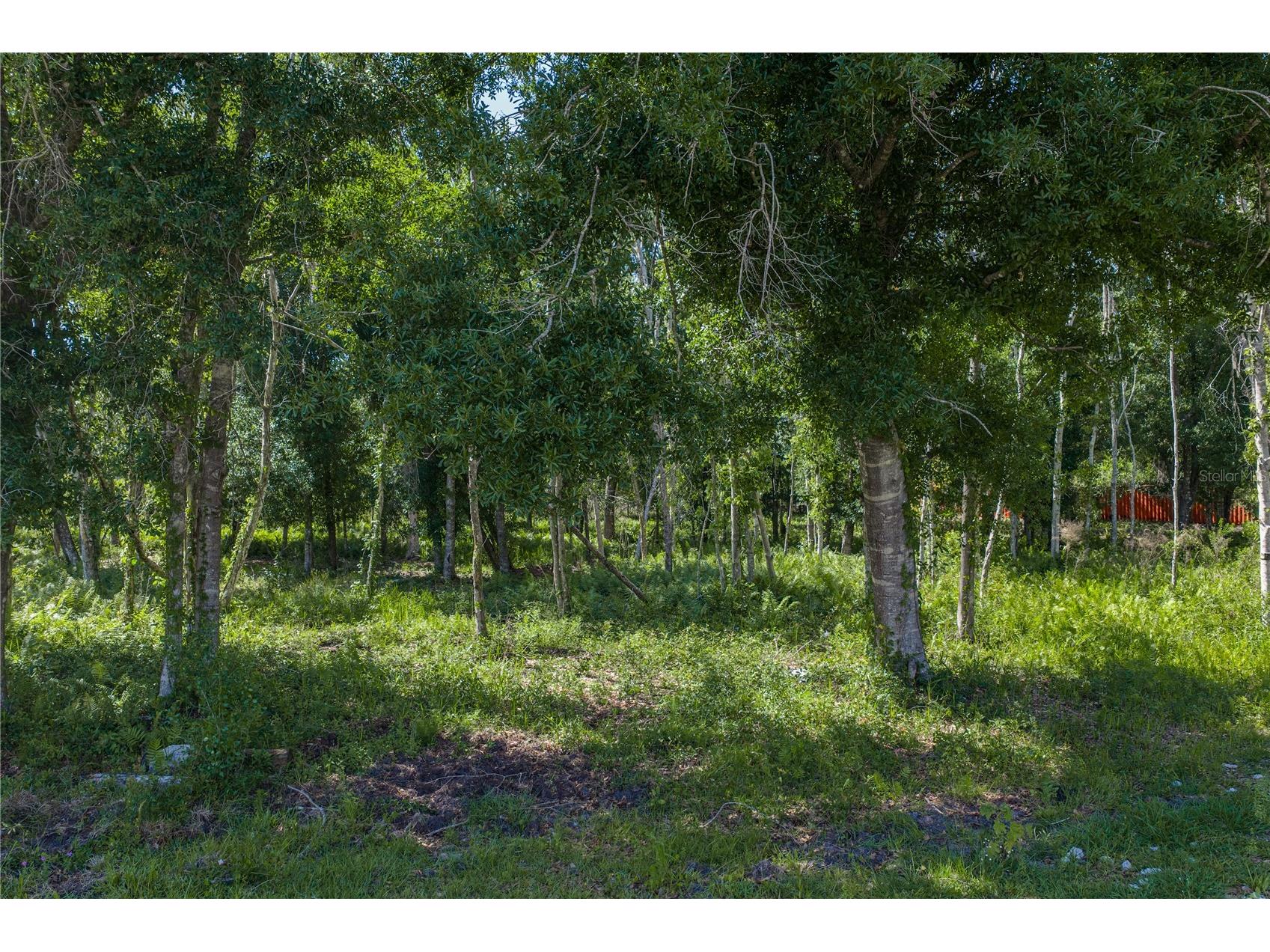 42655 State Road 64 E Myakka City FL 34251 TB8506895 image15