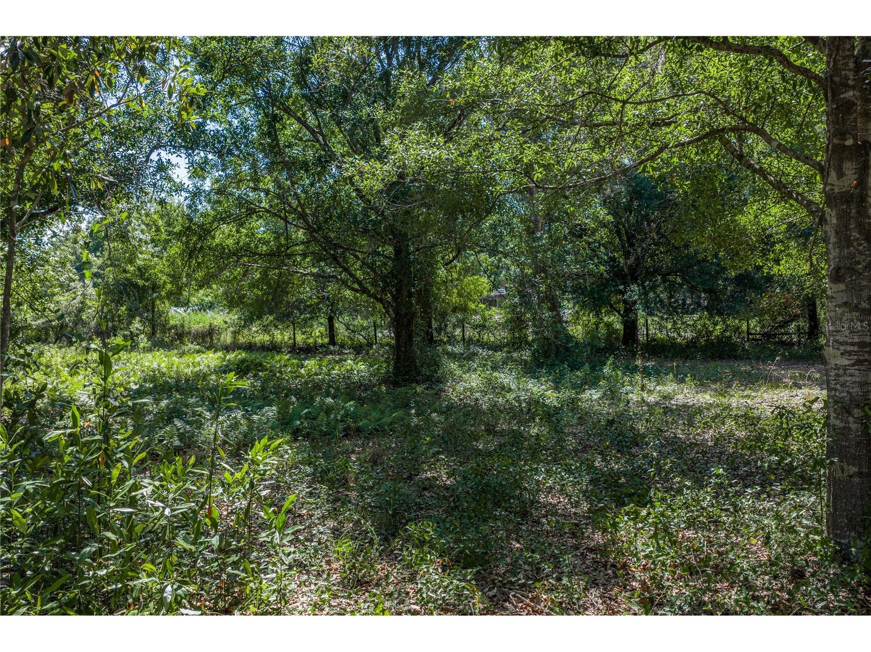 42655 State Road 64 E Myakka City FL 34251 TB8506895 image16