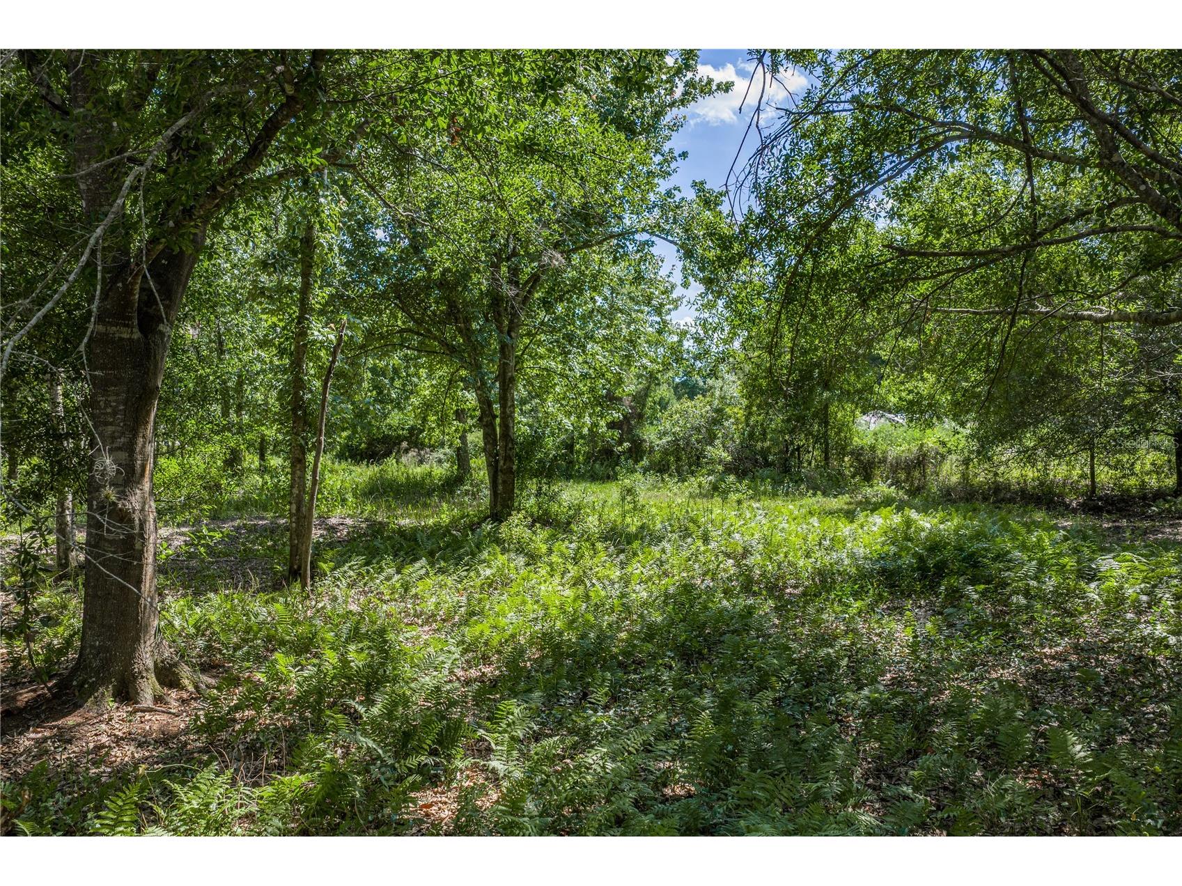 42655 State Road 64 E Myakka City FL 34251 TB8506895 image17