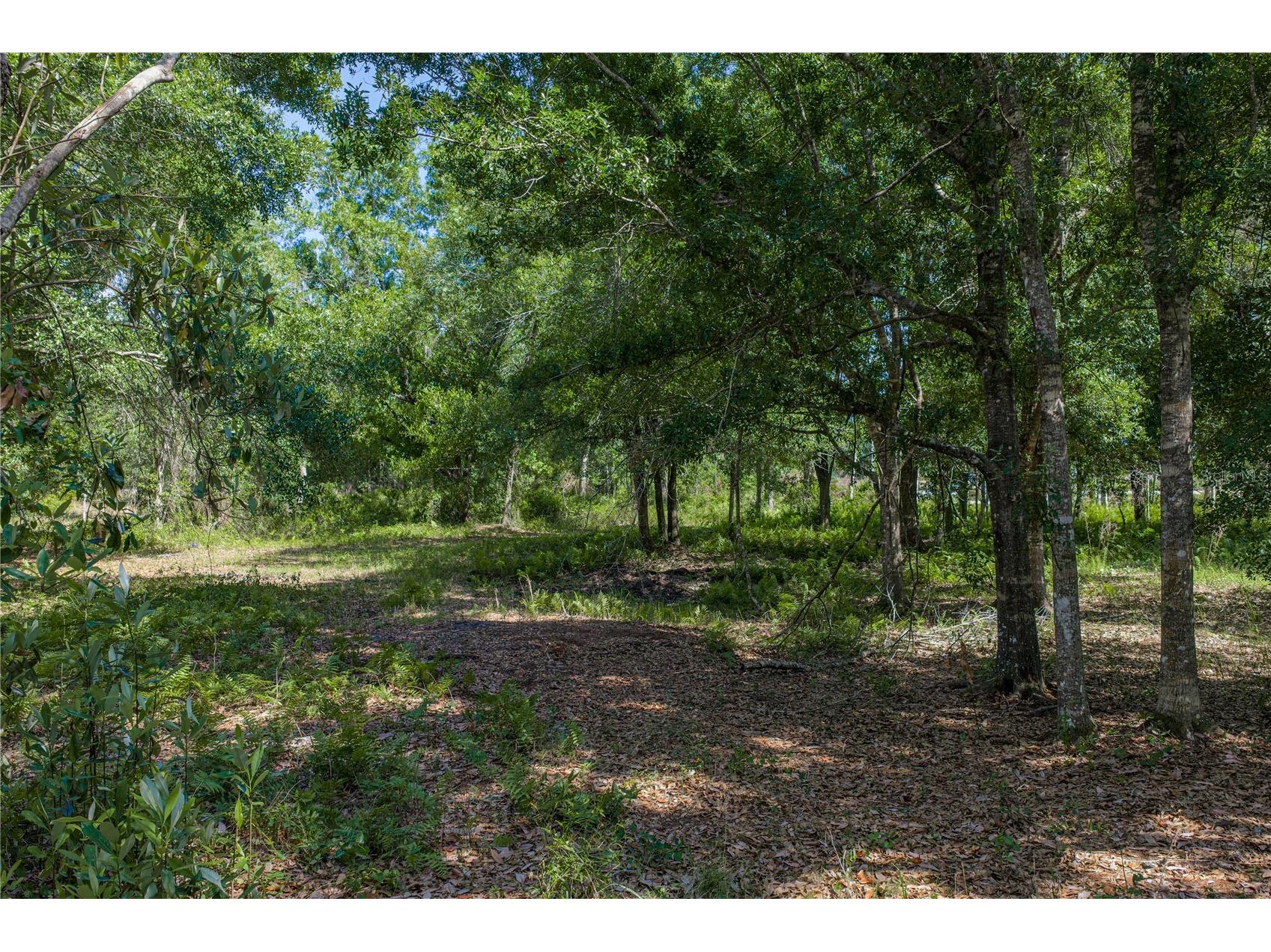 42655 State Road 64 E Myakka City FL 34251 TB8506895 image18