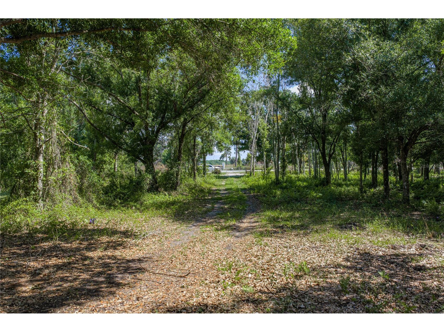 42655 State Road 64 E Myakka City FL 34251 TB8506895 image4