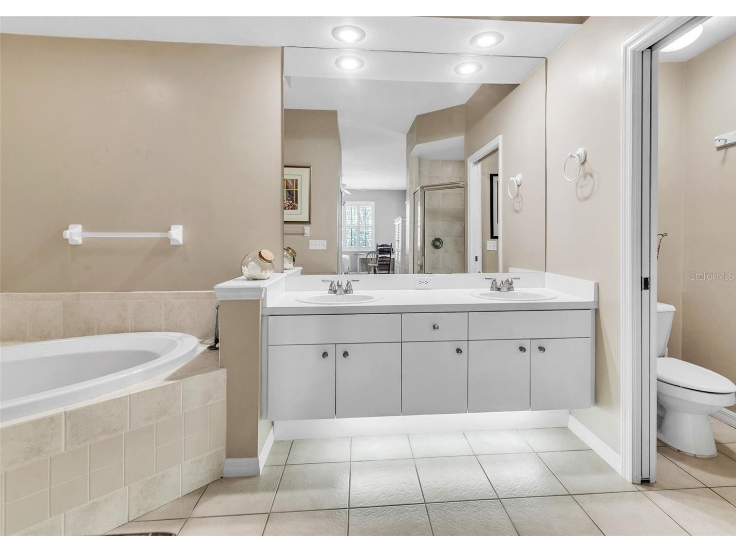 4266 Preserve Place #4266 Palm Harbor FL 34685 TB8460838 image28