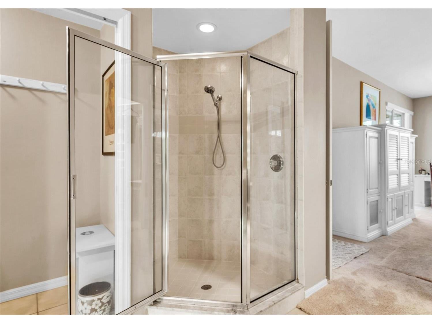 4266 Preserve Place #4266 Palm Harbor FL 34685 TB8460838 image29