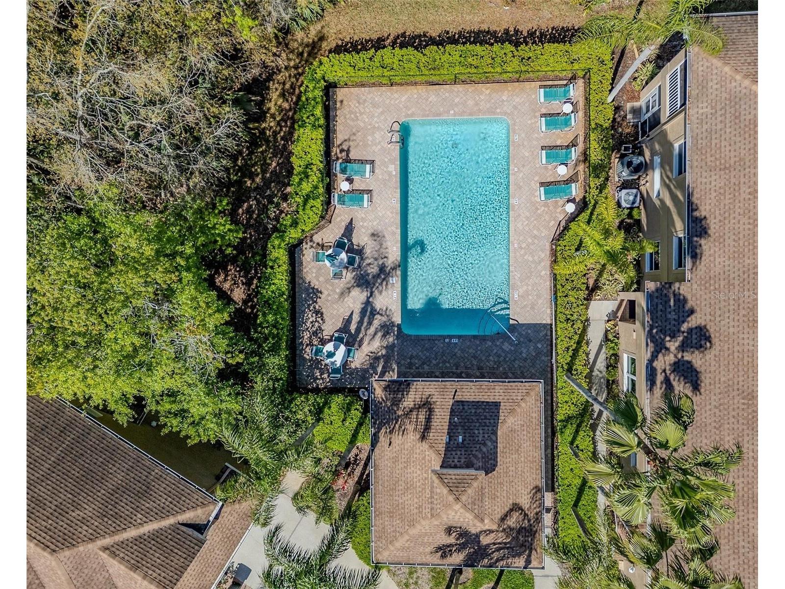 4266 Preserve Place #4266 Palm Harbor FL 34685 TB8460838 image31