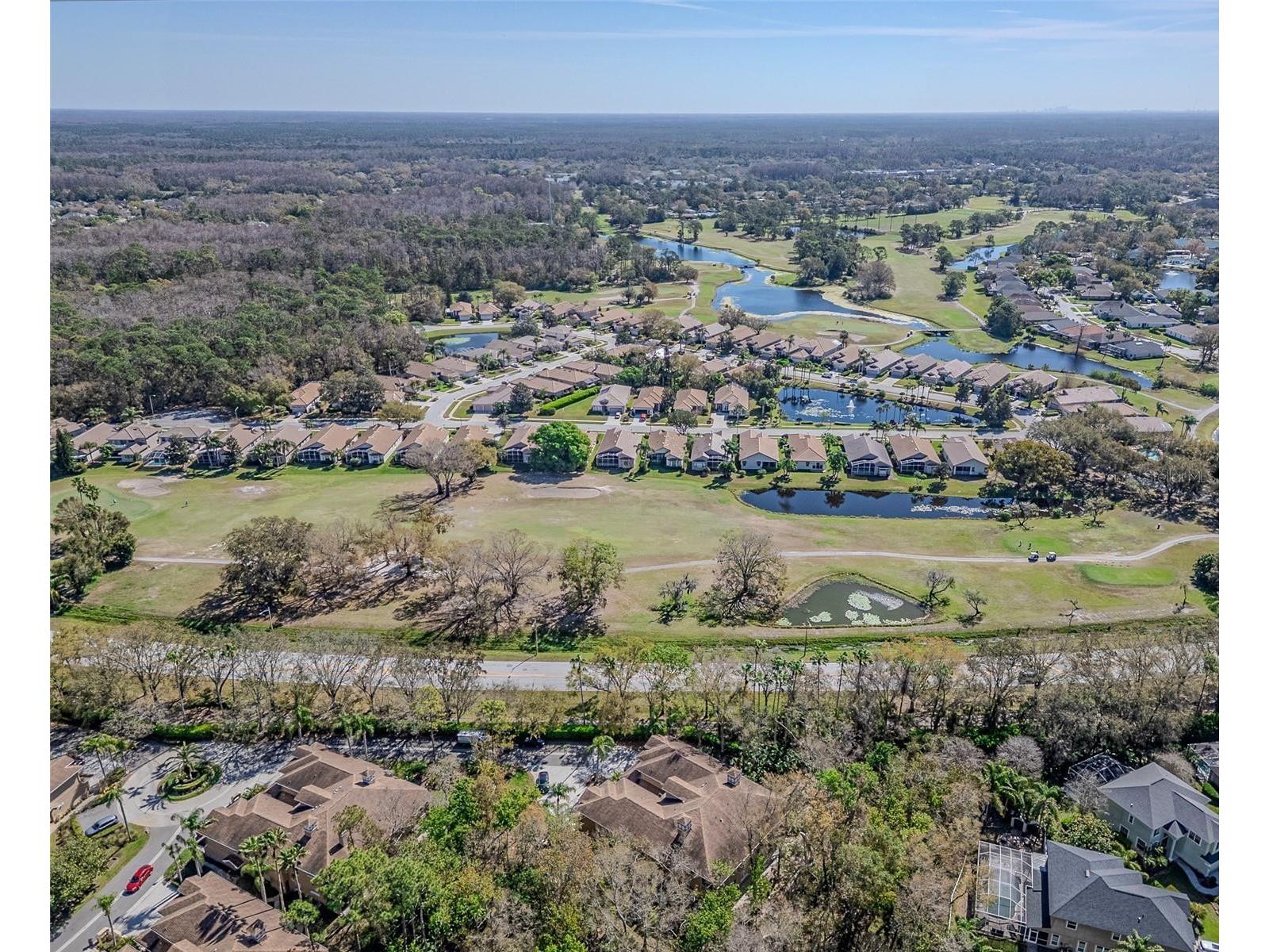 4266 Preserve Place #4266 Palm Harbor FL 34685 TB8460838 image32