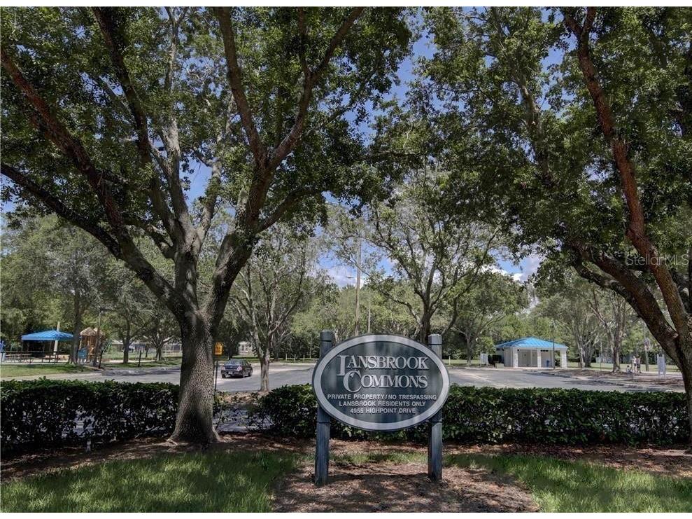 4266 Preserve Place #4266 Palm Harbor FL 34685 TB8460838 image35
