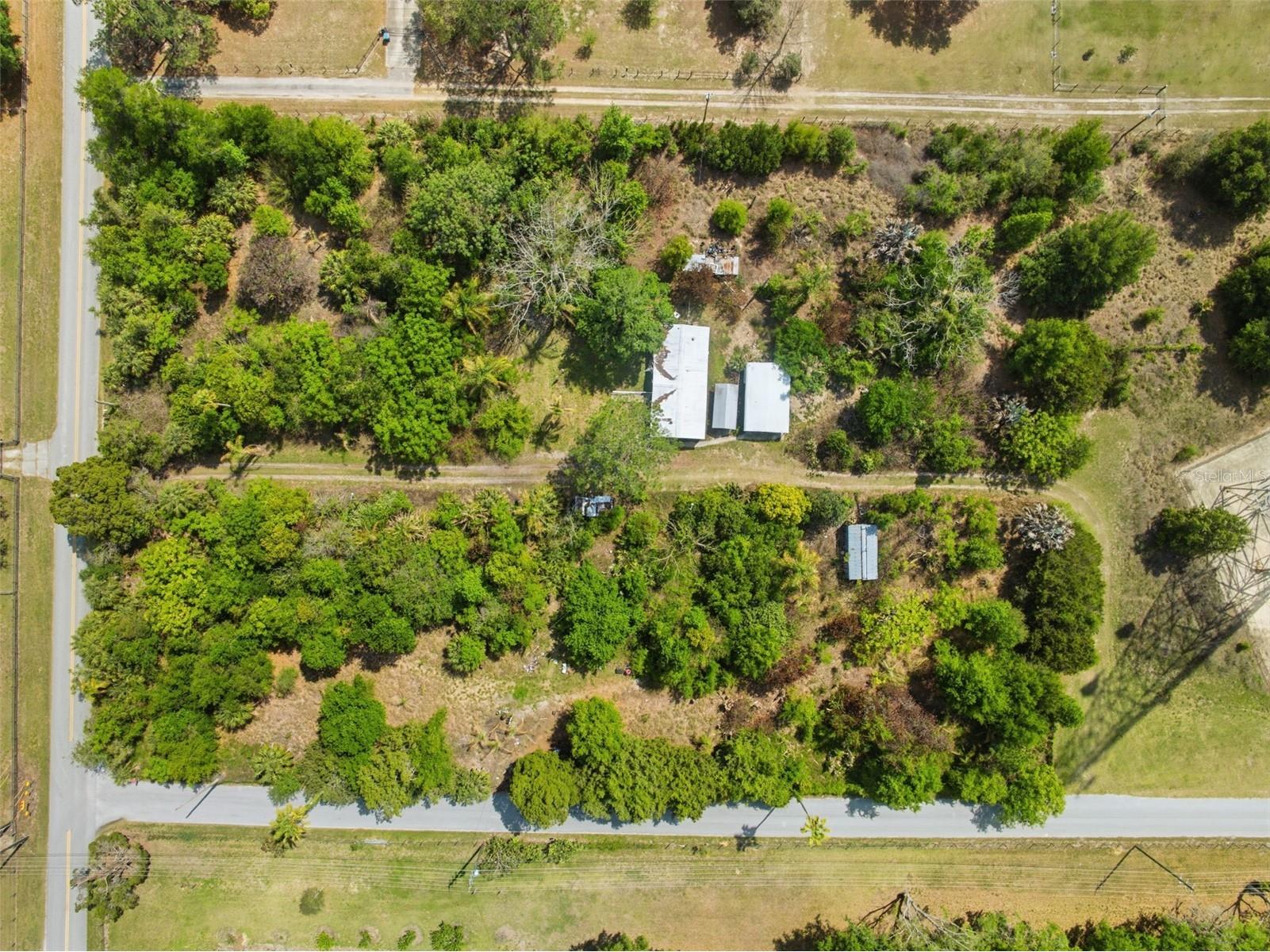 4267 Neff Lake Road Brooksville FL 34601 W7884351 image1