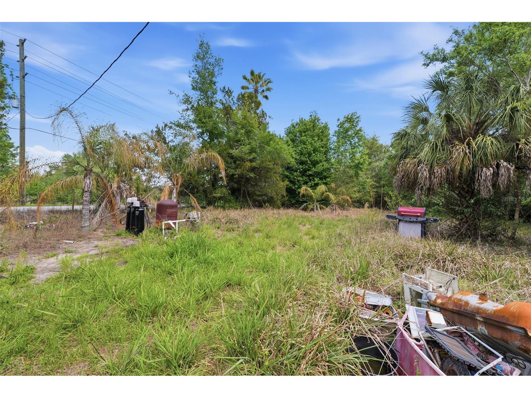 4267 Neff Lake Road Brooksville FL 34601 W7884351 image17