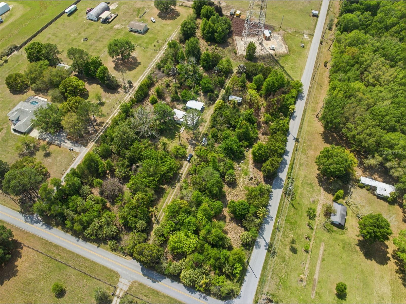 4267 Neff Lake Road Brooksville FL 34601 W7884351 image19