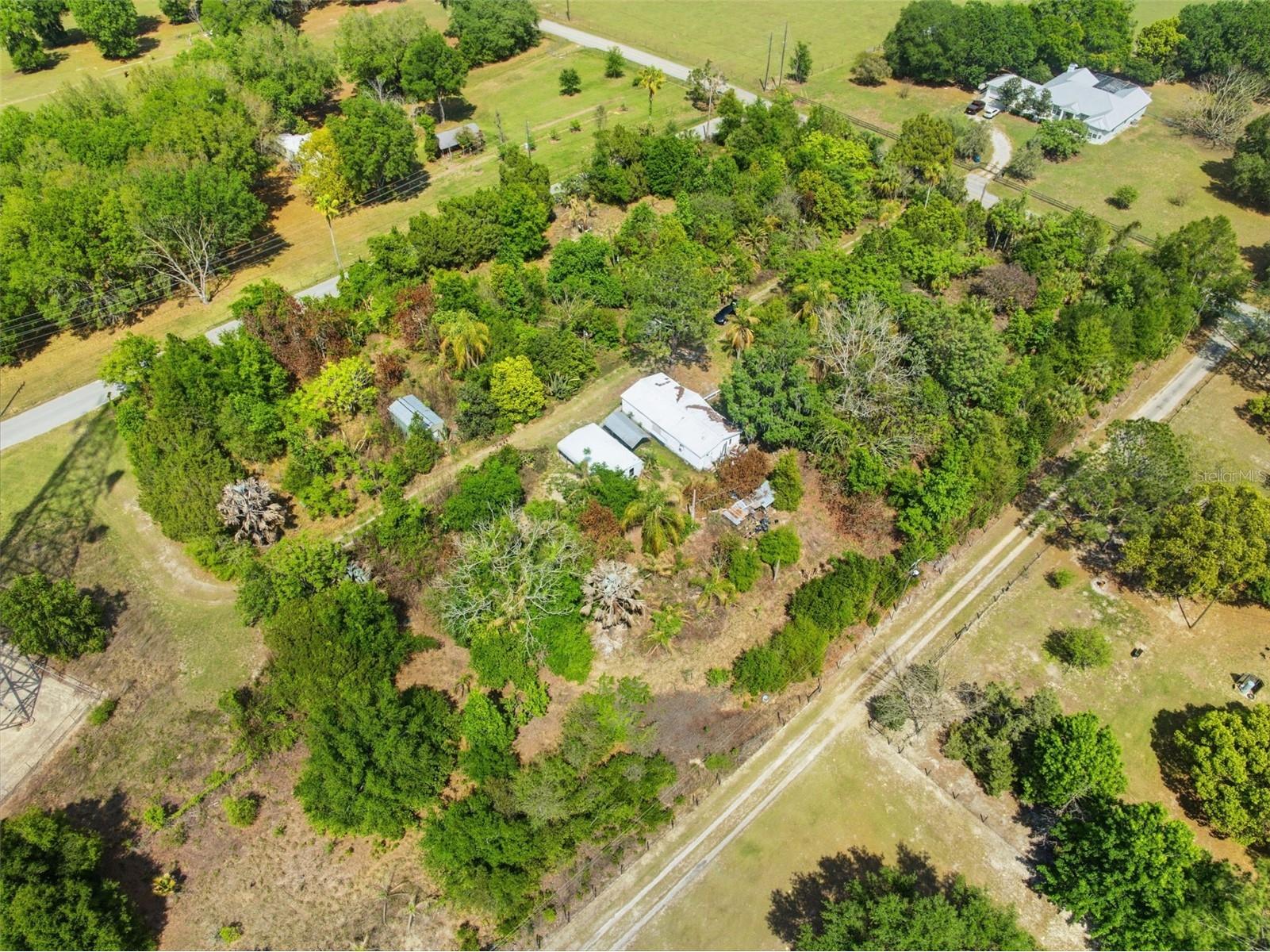 4267 Neff Lake Road Brooksville FL 34601 W7884351 image20