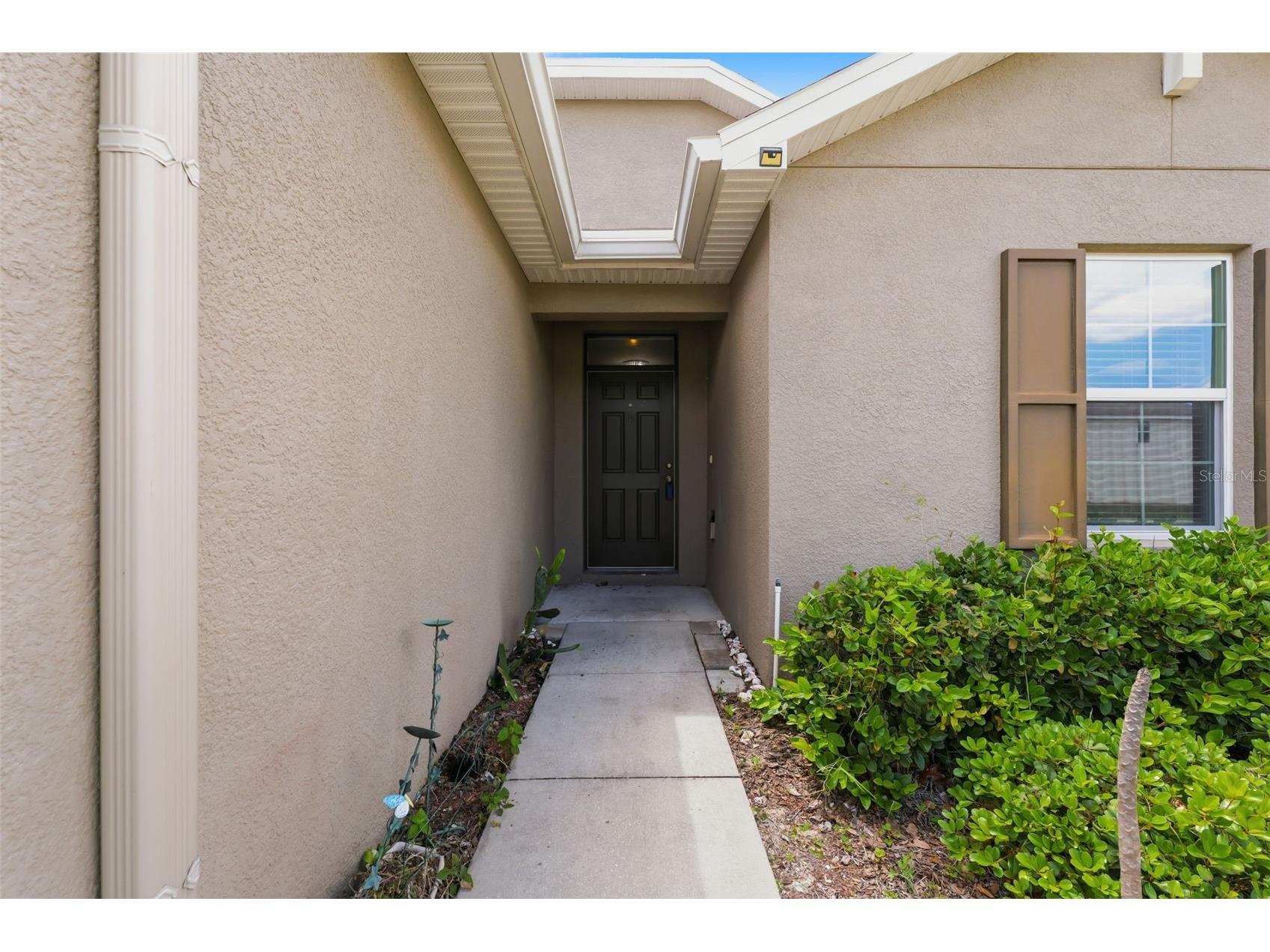 4269 Bramblewood Loop Spring Hill FL 34609 W7884847 image3