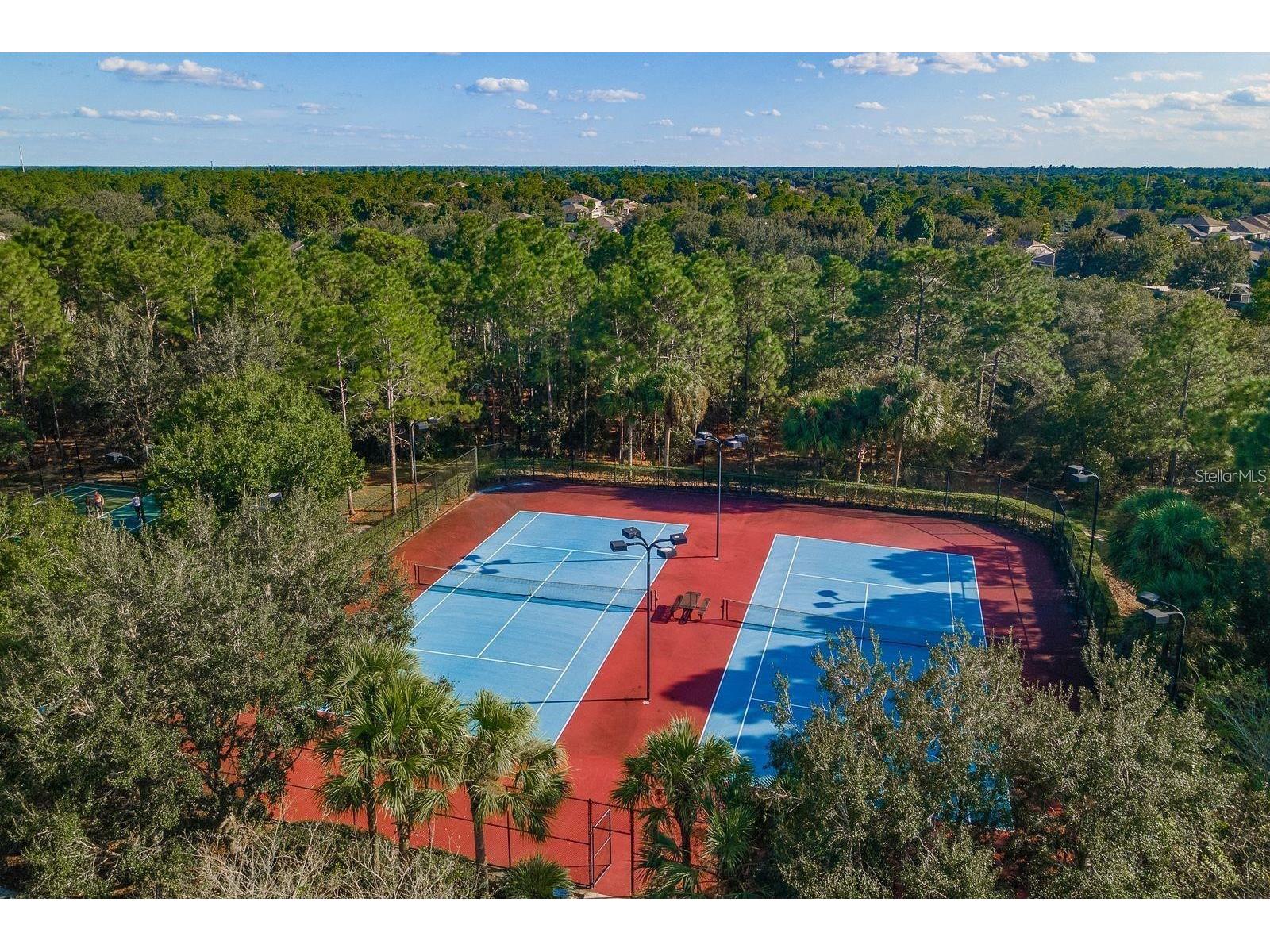 4269 Bramblewood Loop Spring Hill FL 34609 W7884847 image34