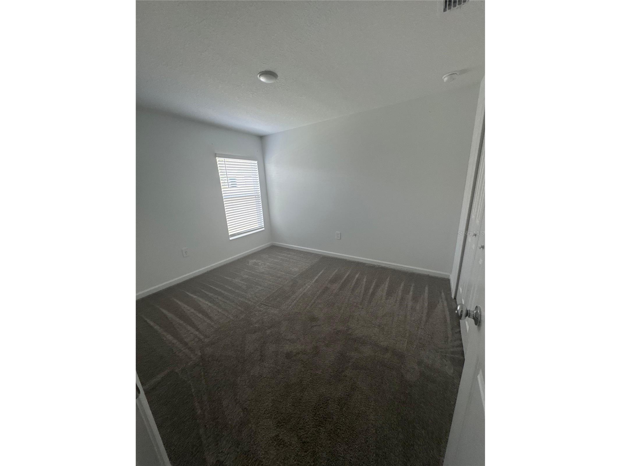 4269 Night Caps Way Kissimmee FL 34746 S5150571 image6