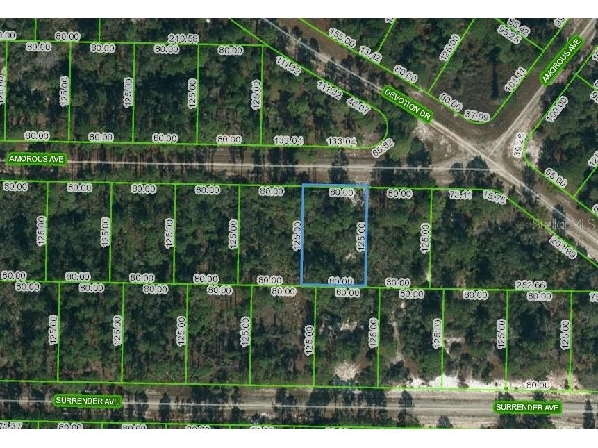 427 Amorous Avenue Lake Placid FL 33852 OM623715 image1