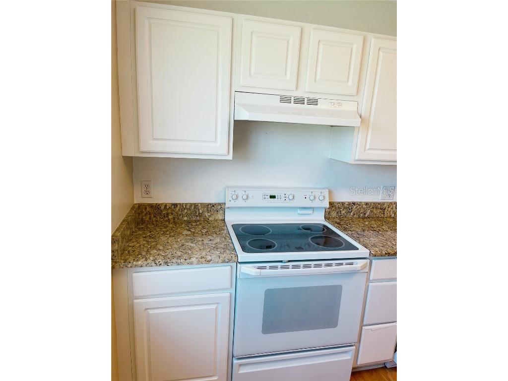 427 Eagle Ridge Drive Davenport FL 33837 O6338490 image26