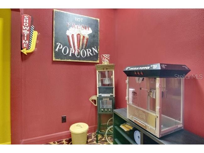427 Egret Place Drive Winter Garden FL 34787 O6422411 image38