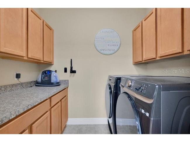 427 Egret Place Drive Winter Garden FL 34787 O6422411 image41