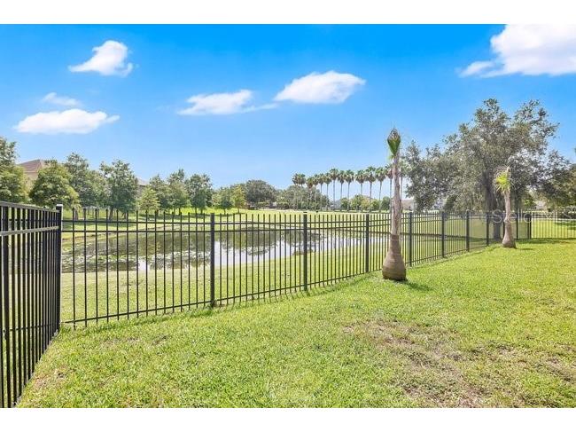 427 Egret Place Drive Winter Garden FL 34787 O6422411 image48
